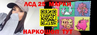 гидропоника Будённовск
