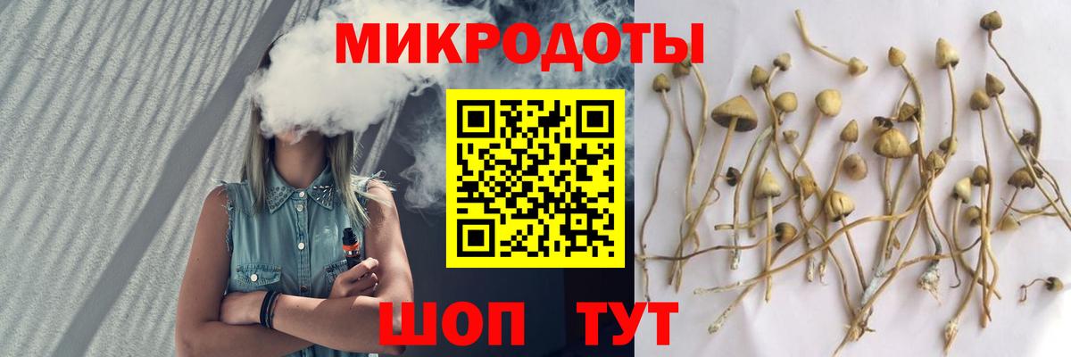Галлюциногенные грибы GOLDEN TEACHER Уварово